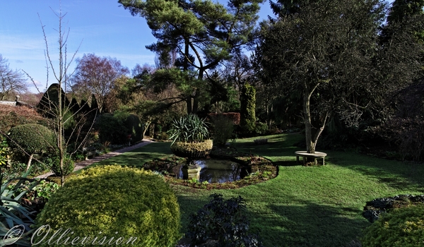 Leeds commercial photographer for charity fund raising, York Gate, Adel, Perennial, scenic gardens in England